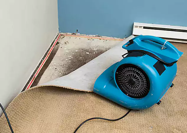 Your Water Damage Experts in Lithia Springs, GA