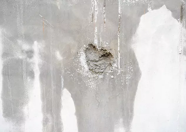 Your Mold Mitigation Solutions Partner in Lithia Springs, GA