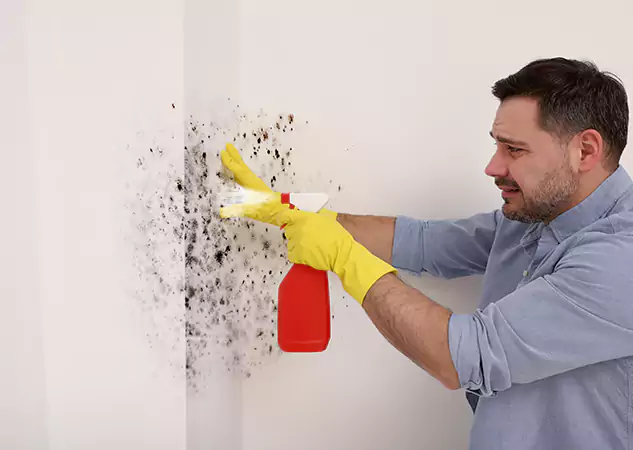 Your Water Mold Fire Restoration Partner in Lithia Springs, GA