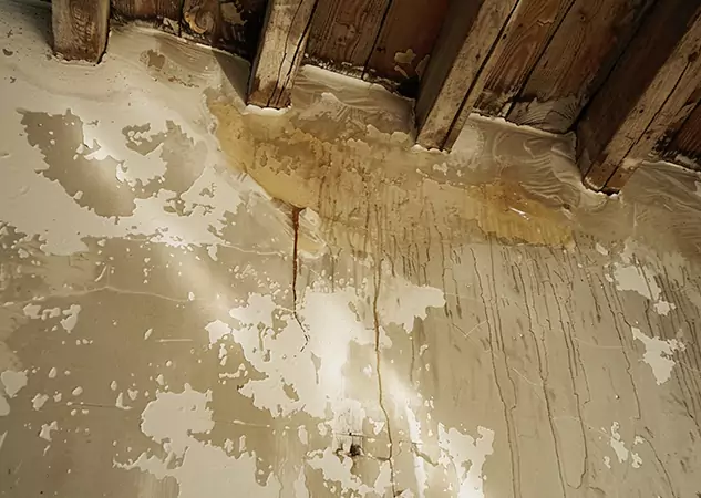 Your Trusted Restoration Company in Lithia Springs, GA