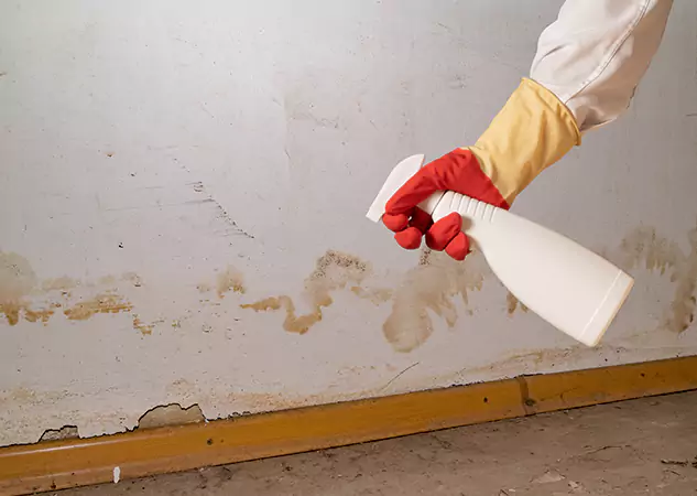 Your Water Restoration and Mold Remediation Specialists in Lithia Springs, GA