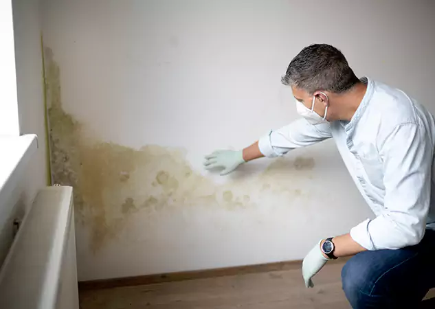 Reach Our Remediation Team Before Damage Grows in Lithia Springs, GA!
