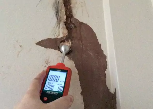 Your Water Damage Assessment Partner in Lithia Springs, GA