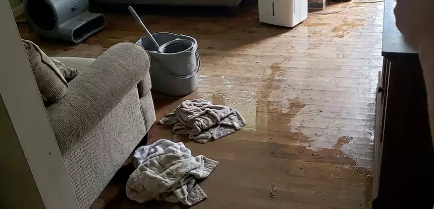 Professional Basement Water Remediation Services in Lithia Springs, GA