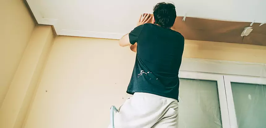 Ceiling Water Damage Repair in Lithia Springs
