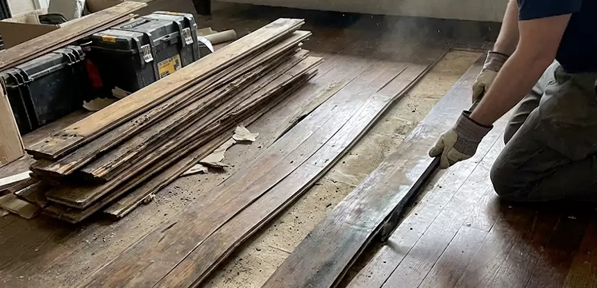 Wood Rot and Fungus Repair in Lithia Springs
