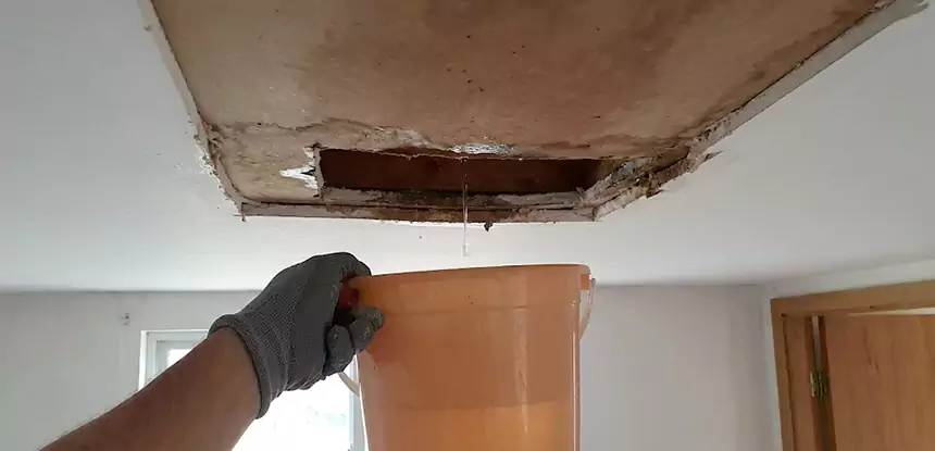Ceiling Mold Repair Lithia Springs 
