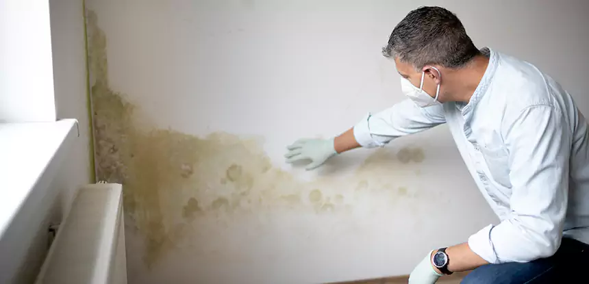 Mold and Water Damage Repair in Lithia Springs