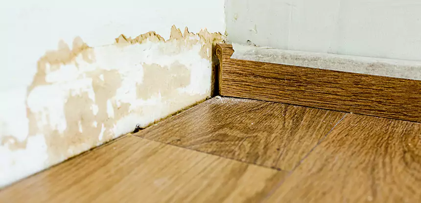 Professional Fix Water Damaged Wood Services in Lithia Springs, GA