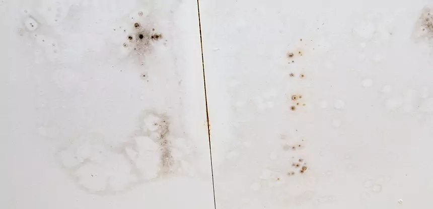 Professional Water Stain Repair Services in Lithia Springs, GA