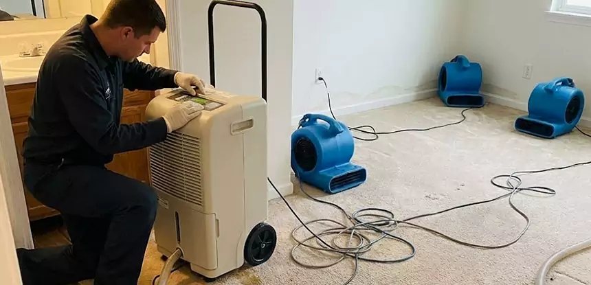 Professional Wet Carpet Removal Services in Lithia Springs, GA