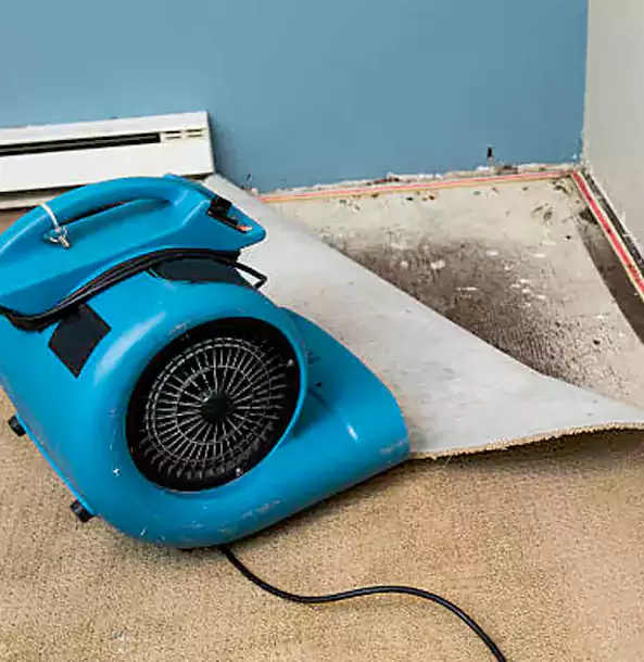 Why Lithia Springs Trusts Lithia Springs Restoration Pro for Carpet Flood Recovery?