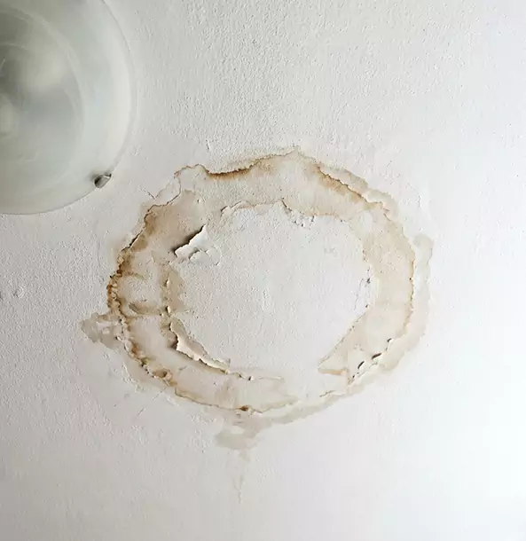 Why Lithia Springs Property Owners Choose Lithia Springs Restoration Pro for Ceiling Water Damage Restoration?