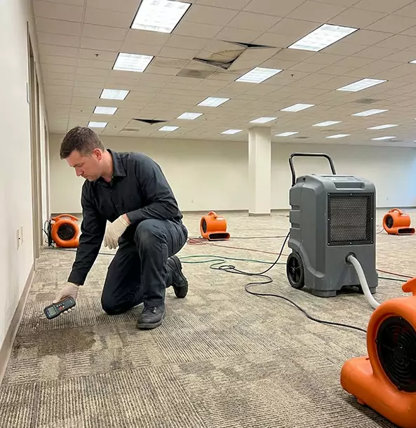 Why Lithia Springs Businesses Choose Lithia Springs Restoration Pro for Water Cleanup?