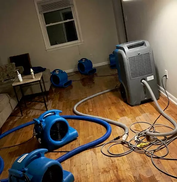Why Lithia Springs Calls Lithia Springs Restoration Pro First for Emergency Restoration?