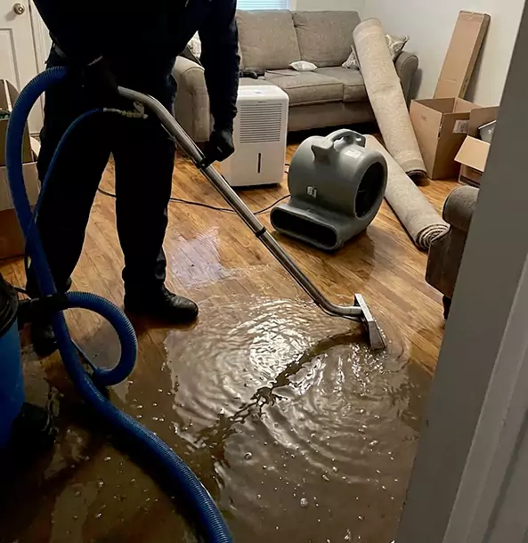 Why Lithia Springs Trusts Lithia Springs Restoration Pro for Flood Cleanup?