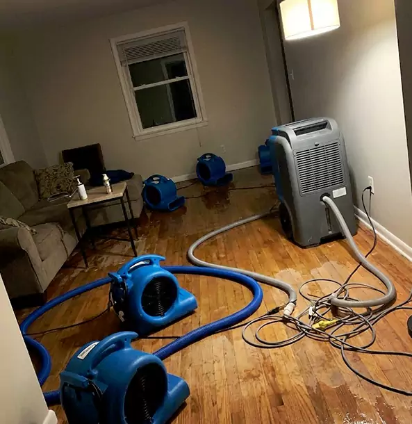 Why Lithia Springs Property Owners Rely on Lithia Springs Restoration Pro for Remediation?