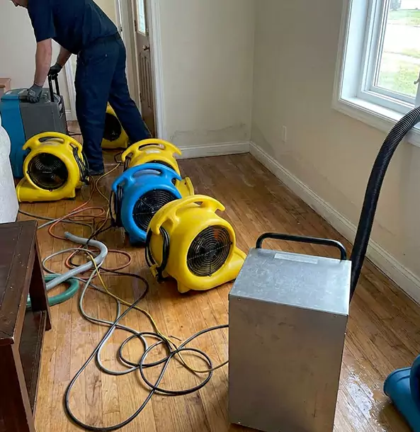 Why Lithia Springs Property Owners Choose Lithia Springs Restoration Pro for Remediation?