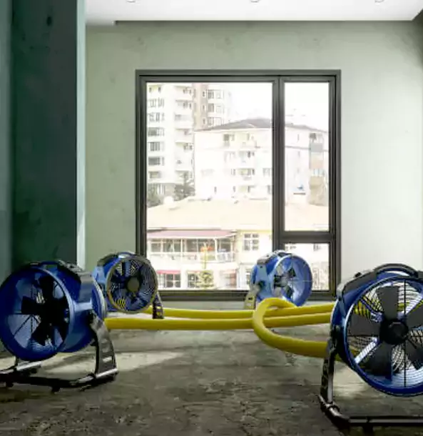 Why Lithia Springs Property Owners Trust Lithia Springs Restoration Pro for Water Damage Drying?