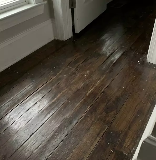 Why Lithia Springs Homeowners Trust Lithia Springs Restoration Pro to Fix Water Damaged Wood?