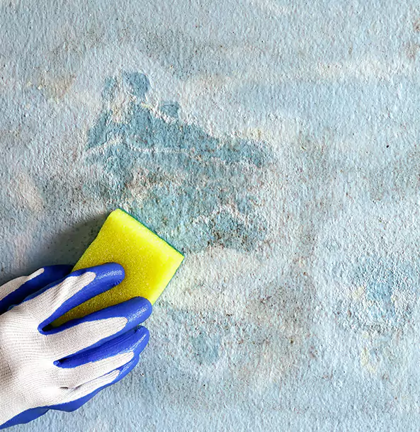 Why Lithia Springs Restoration Pro Is the Right Choice in Lithia Springs, GA?