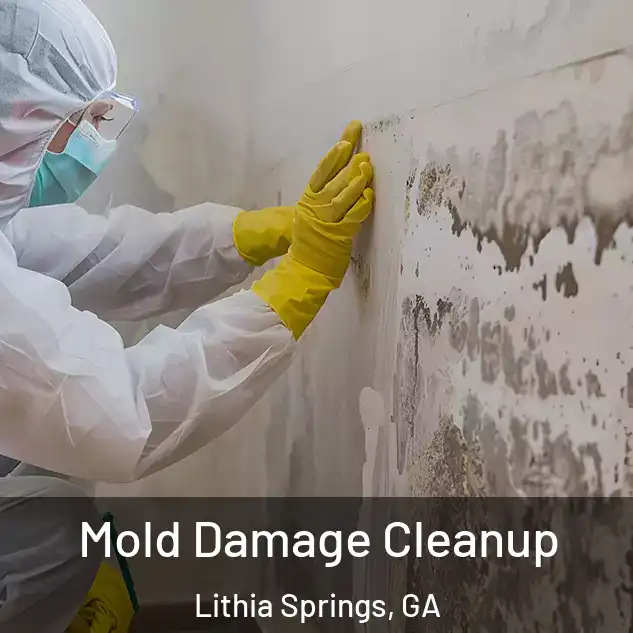 Mold Damage Cleanup Lithia Springs, GA
