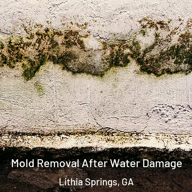  Mold Removal After Water Damage Lithia Springs, GA