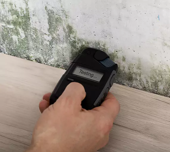 Mold Remediation Service Lithia Springs