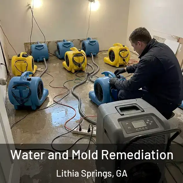  Water and Mold Remediation Lithia Springs, GA