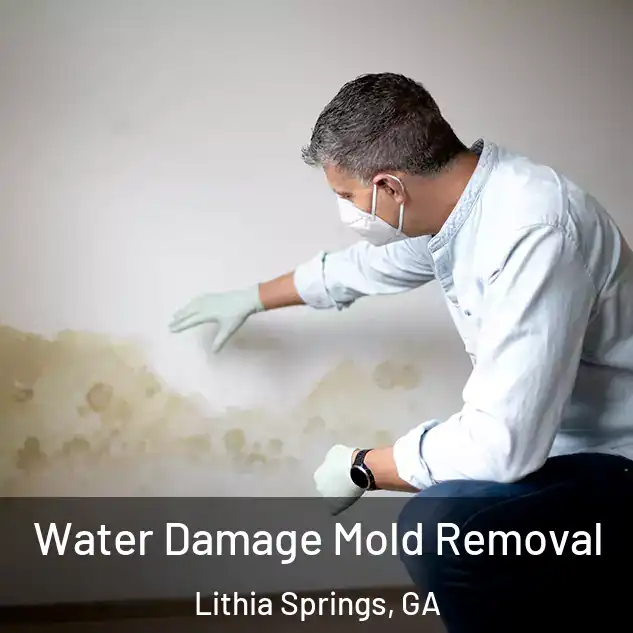  Water Damage Mold Removal Lithia Springs, GA