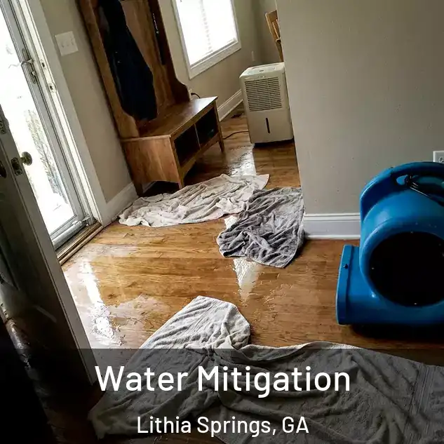  Water Mitigation Lithia Springs, GA