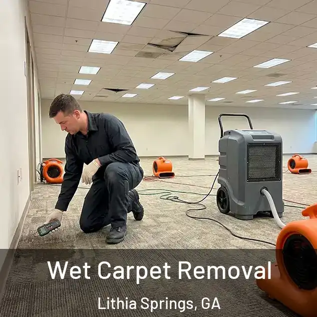  Wet Carpet Removal Lithia Springs, GA